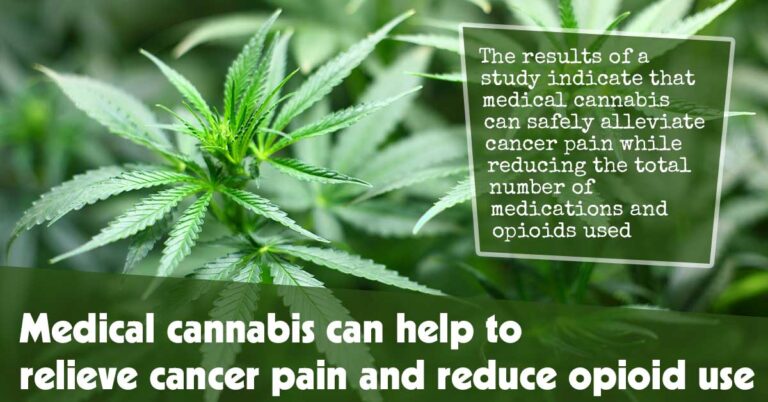 Medical Cannabis Can Help To Relieve Cancer Pain And Reduce Opioid Use
