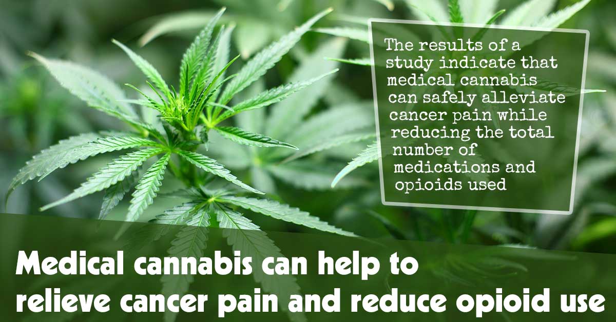 Medical marijuana may help relieve cancer pain and reduce opioid use