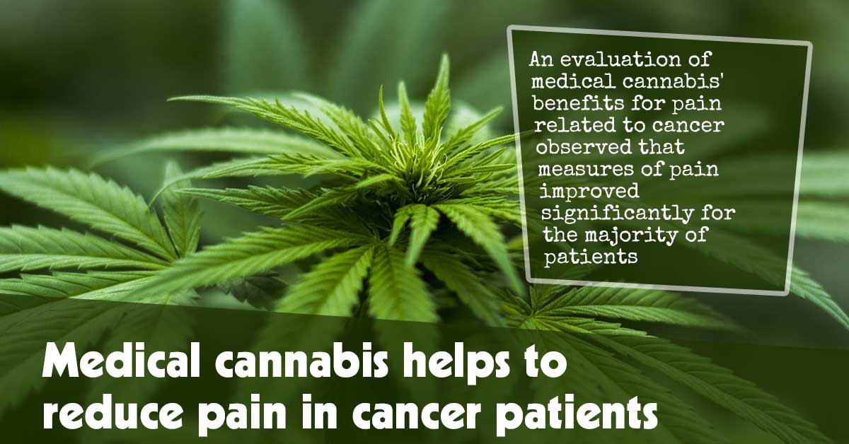 Medical Cannabis Helps To Reduce Pain In Cancer Patients