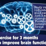 Mild Exercise For 3 Months Helps To Improve Brain Function F