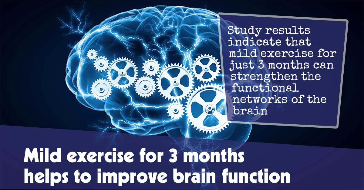 Mild Exercise for 3 Months Helps to Improve Brain Function