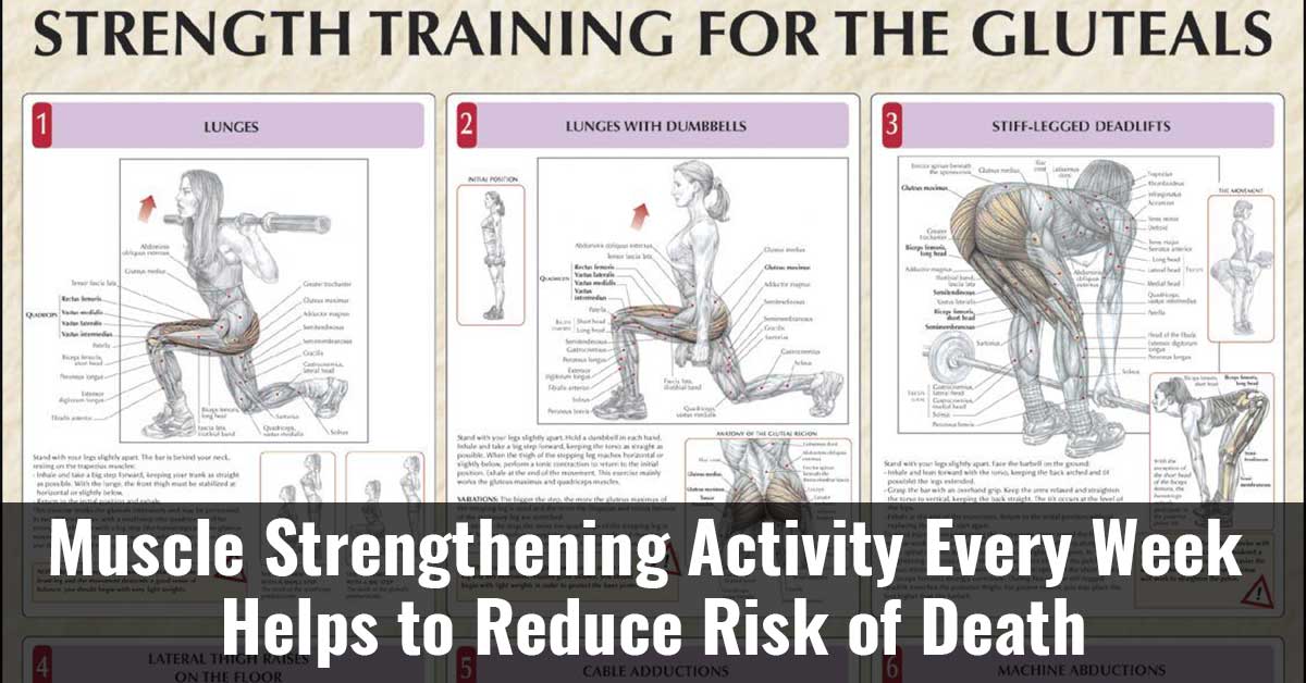Muscle Strengthening Activity Every Week Helps To Reduce Risk Of Death