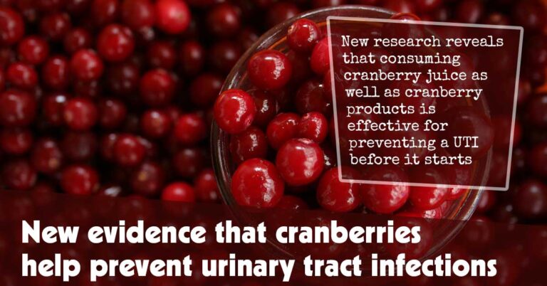 New Evidence That Cranberries Help Prevent Urinary Tract Infections