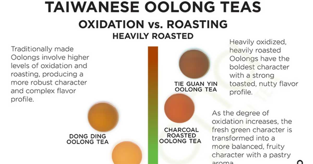 Oolong Tea Infographic F