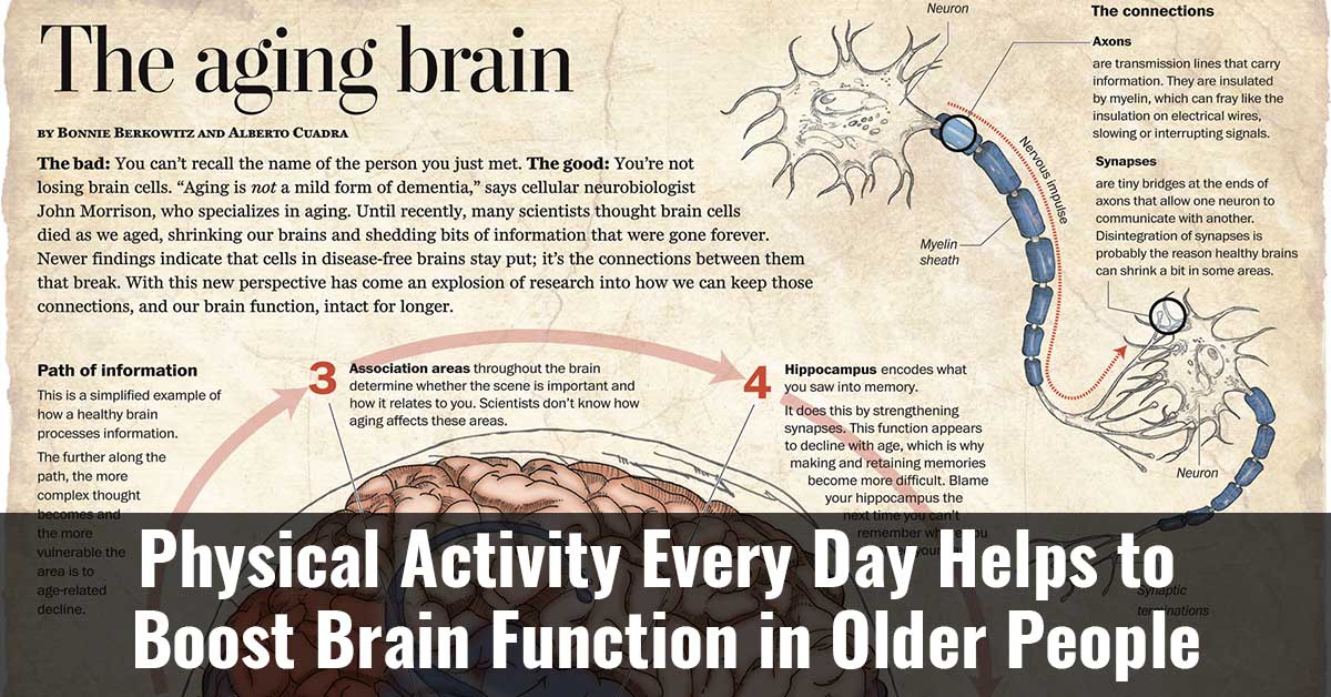 Physical Activity Every Day Helps To Boost Brain Function In Older People