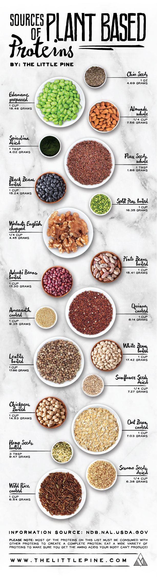 Plant Protein Infographic