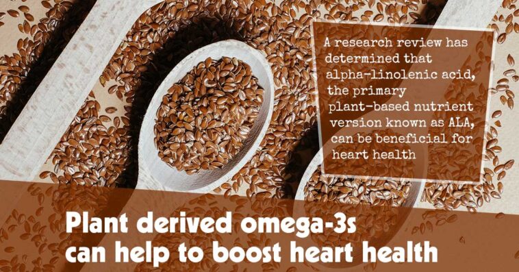 Plant Derived Omega 3s Can Help To Boost Heart Health F