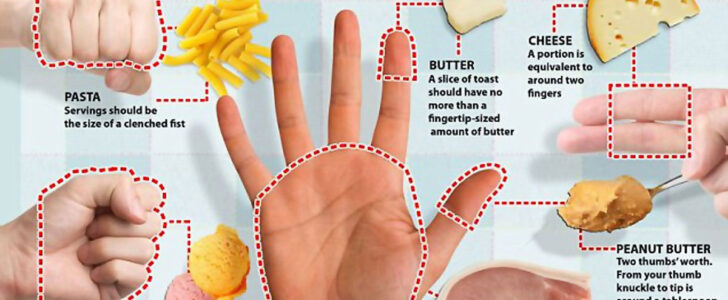 Portion Control Infographic F