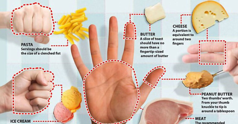 Portion Control Infographic F