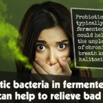 Probiotic Bacteria In Fermented Foods Can Help To Relieve Bad Breath F