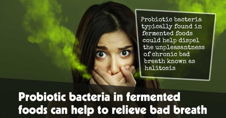 Probiotic Bacteria In Fermented Foods Can Help To Relieve Bad Breath F
