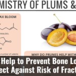 Prunes Help To Prevent Bone Loss And Protect Against Risk Of Fractures