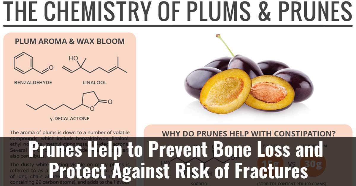 Prunes Help To Prevent Bone Loss And Protect Against Risk Of Fractures