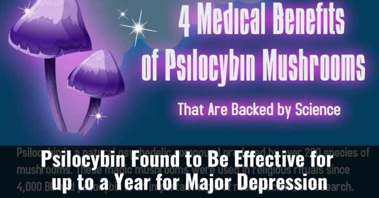 Psilocybin Found To Be Effective For Up To A Year For Major Depression