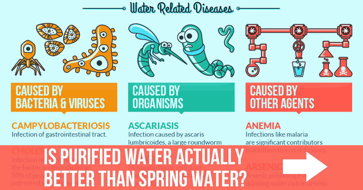 purified-water-vs-spring-water
