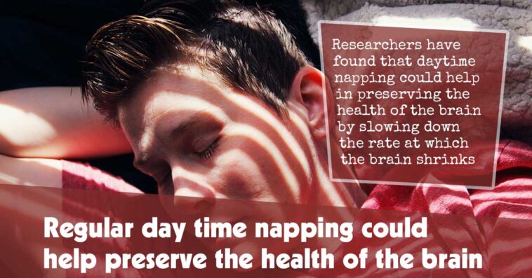 Regular Day Time Napping Could Help Preserve The Health Of The Brain F