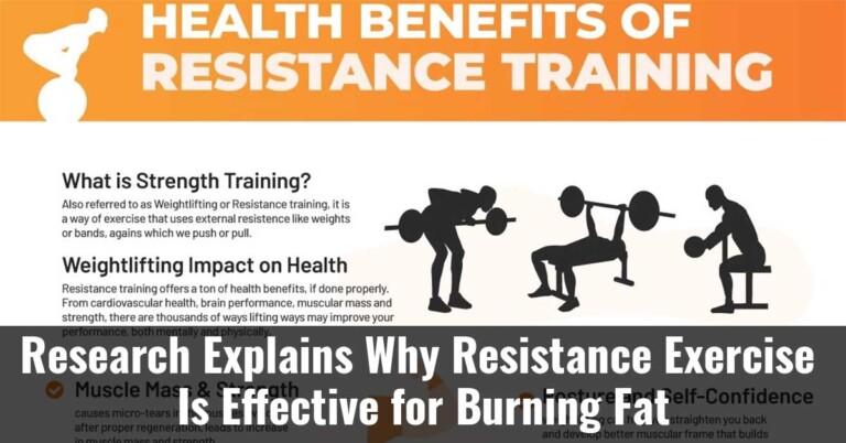 Research Explains Why Resistance Exercise Is Effective For Burning Fat