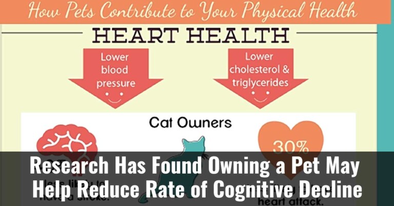Research Has Found Owning A Pet May Help Reduce Rate Of Cognitive Decline