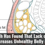 Research Has Found That Lack Of Sleep Increases Unhealthy Belly Fat