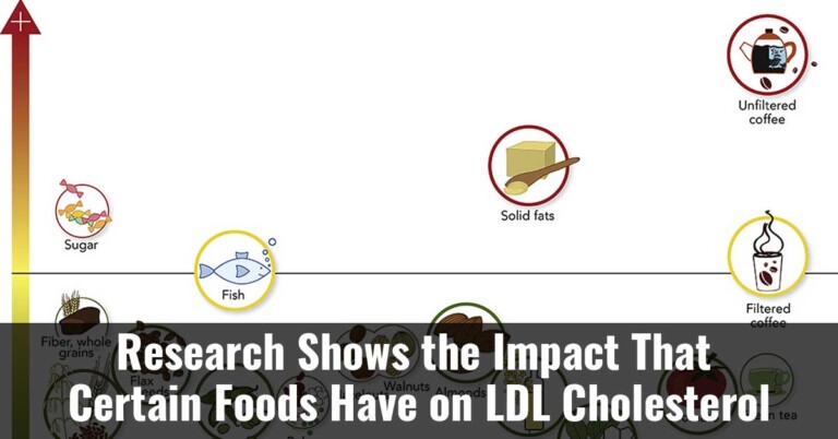 Research Shows The Impact That Certain Foods Have On Ldl Cholesterol
