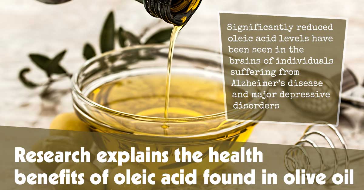 Research Explains The Health Benefits Of Oleic Acid Found In Olive Oil