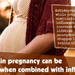 Ssri Use In Pregnancy Can Be Harmful When Combined With Inflammation F