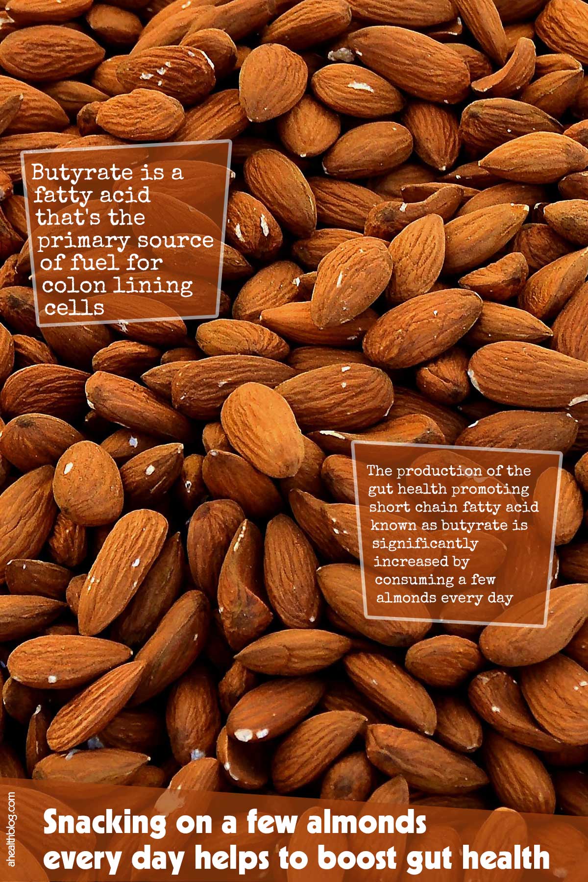 Snacking On A Few Almonds Every Day Helps To Boost Gut Health