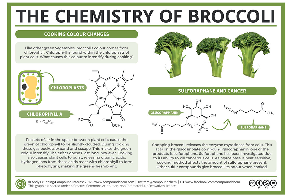 The Chemistry Of Broccoli Infographic