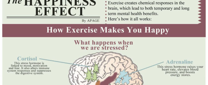 The Happiness Effect Infographic F