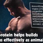Vegan Protein Helps Builds Muscle As Effectively As Animal Protein