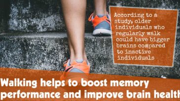 Walking Helps To Boost Memory Performance And Improve Brain Health