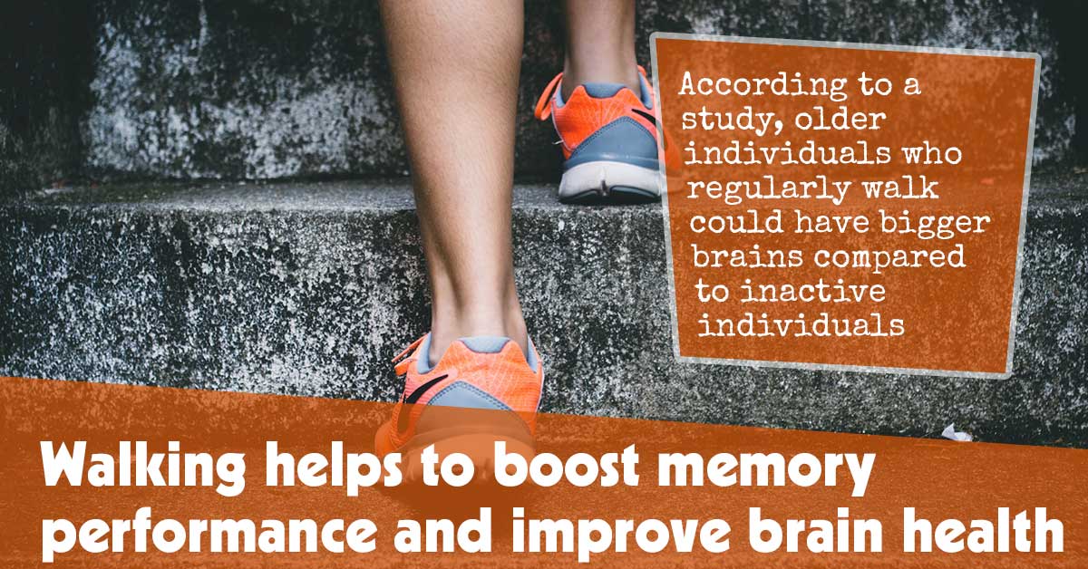Walking Helps to Boost Memory Performance and Improve Brain Health