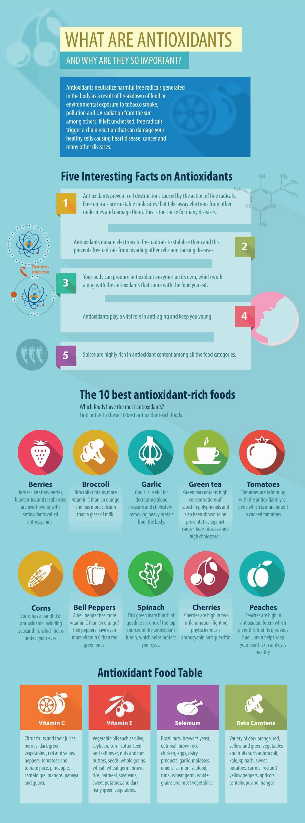 What Are Antioxidants Infographic
