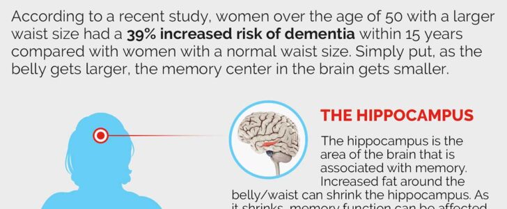 Belly Fat And Dementia Infographic F
