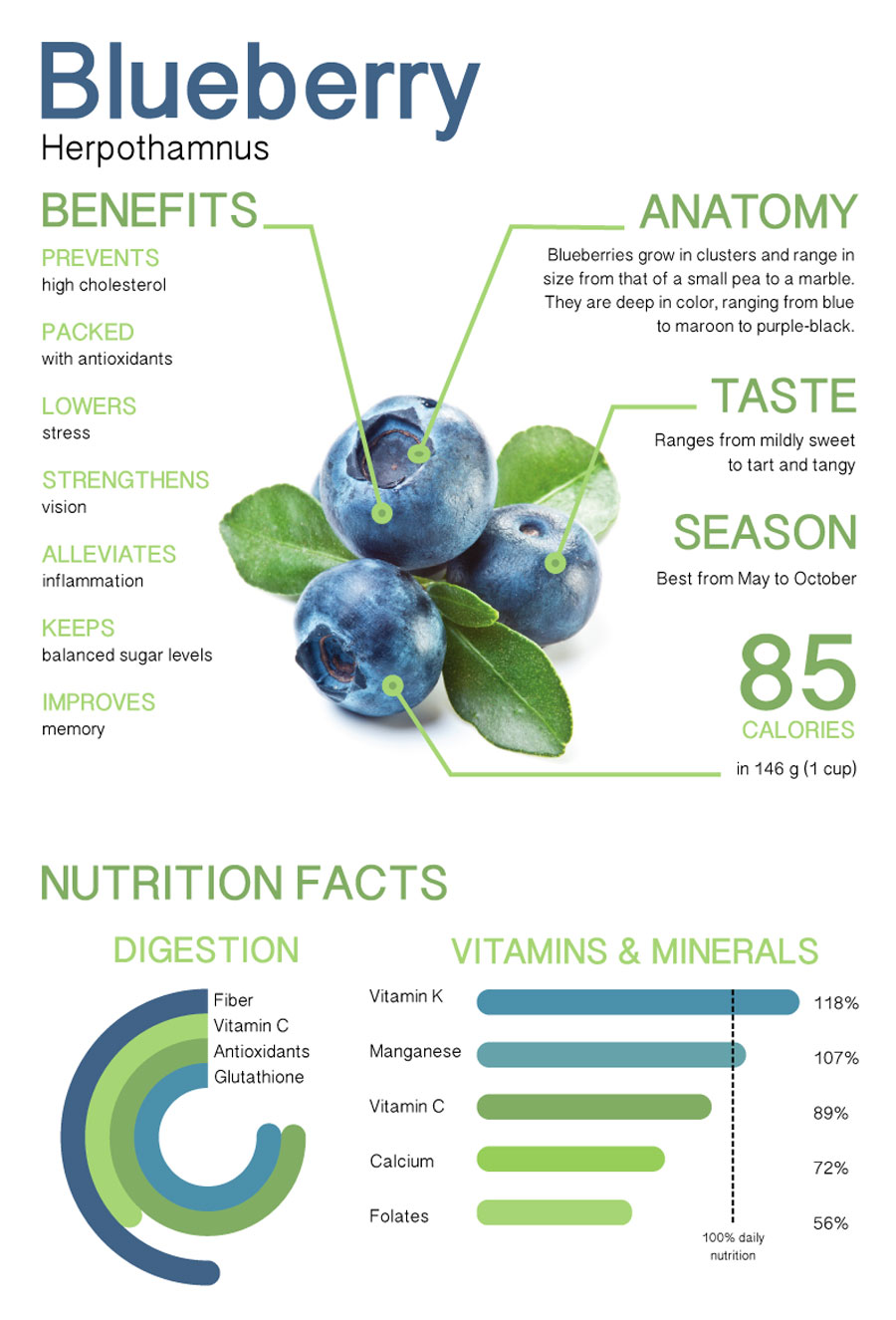 Blueberry Benefits Infographic