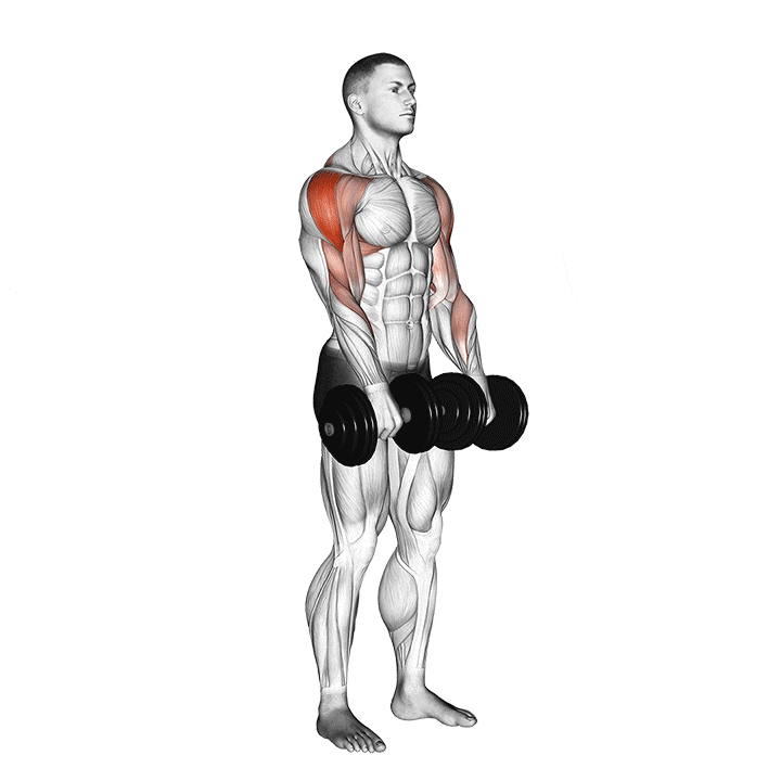 5 of the Best Exercises for Side Delts You Can Do at Home - Page 2