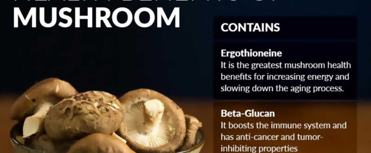 Health Benefits Of Mushrooms Infographic F