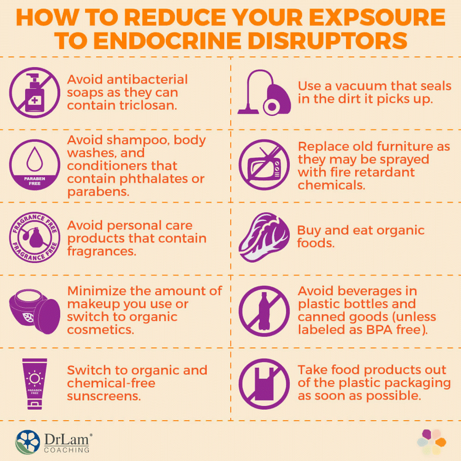 How To Reduce Your Expsoure To Endocrine Disruptors Infographic