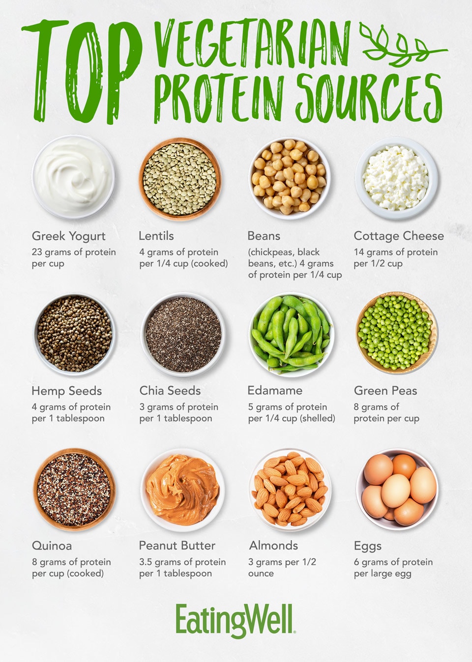 Vegeterian Protein Sources Infographic