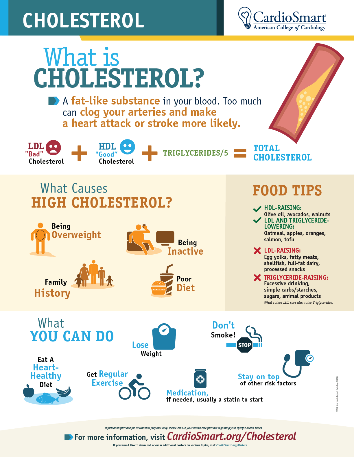 What Is Cholesterol Infographic